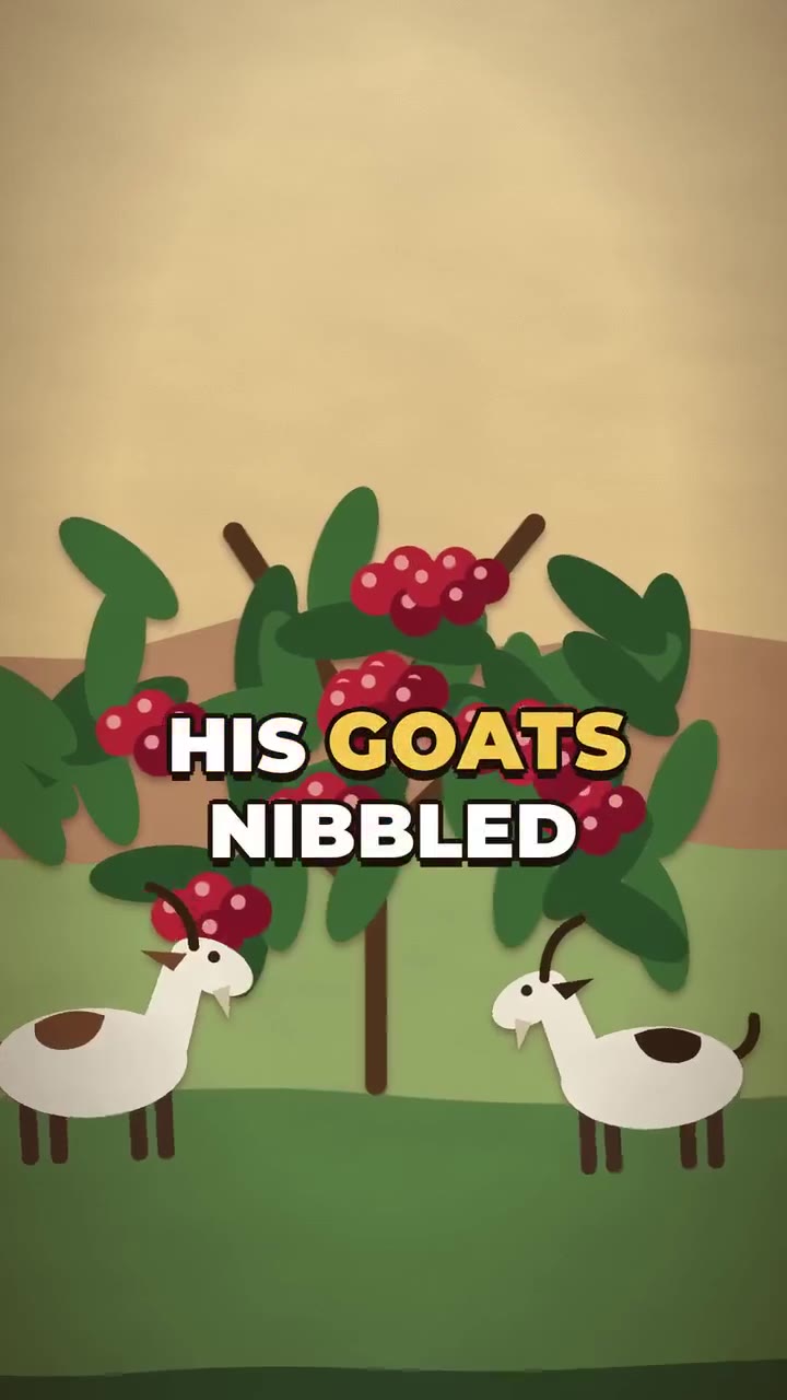 Faceless video example: The goats that discovered coffee (faceless video example)