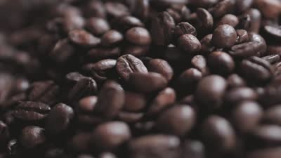 Beans